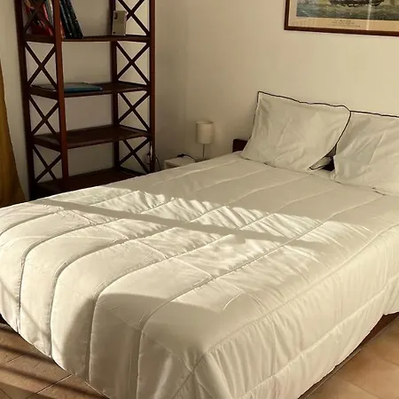 Le Face A La * Ajaccio (Corsica)