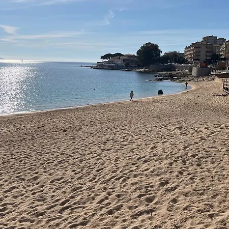 Le Face A La Ajaccio (Corsica)